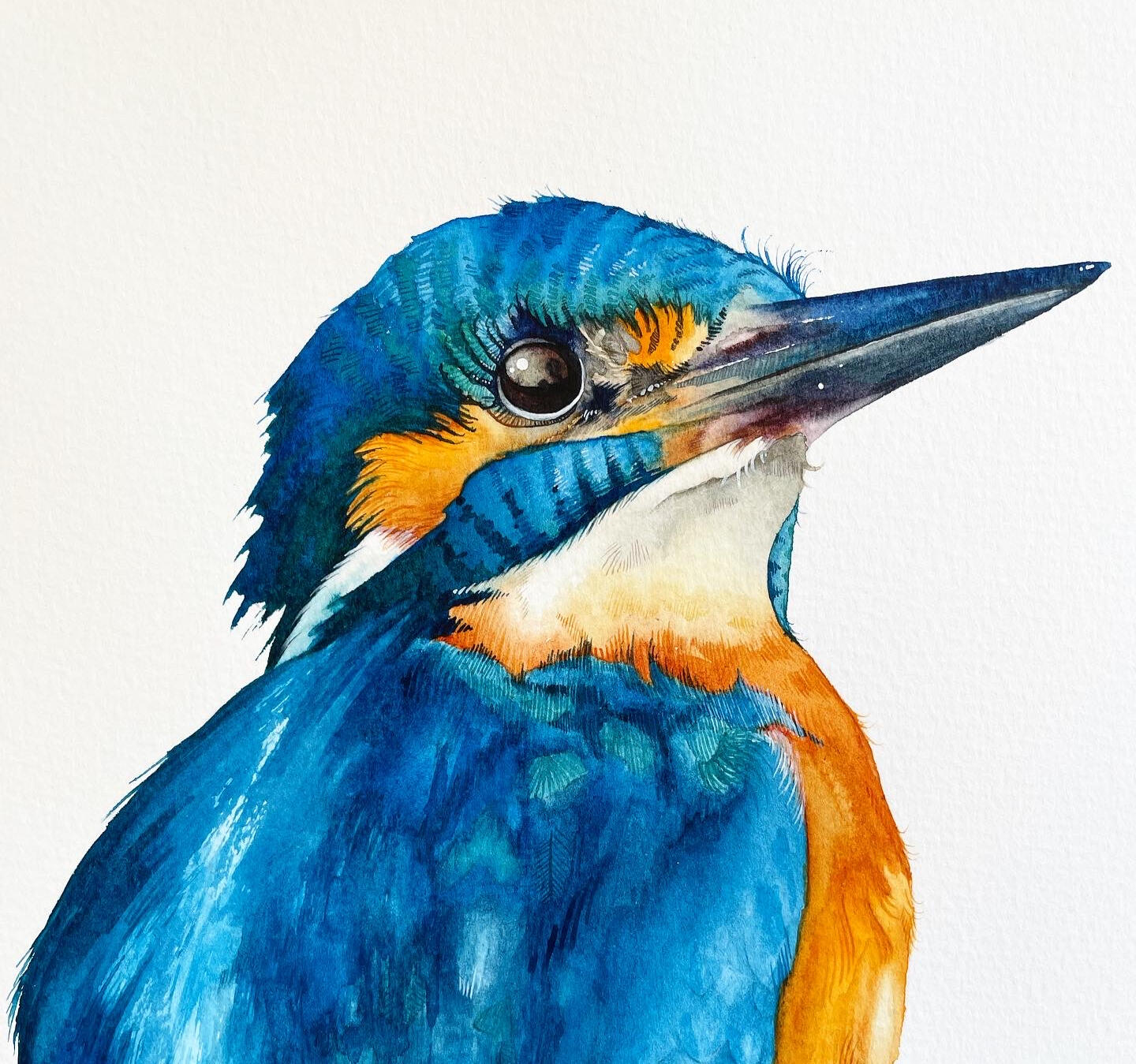 Watercolour Kingfisher